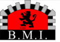 BMI